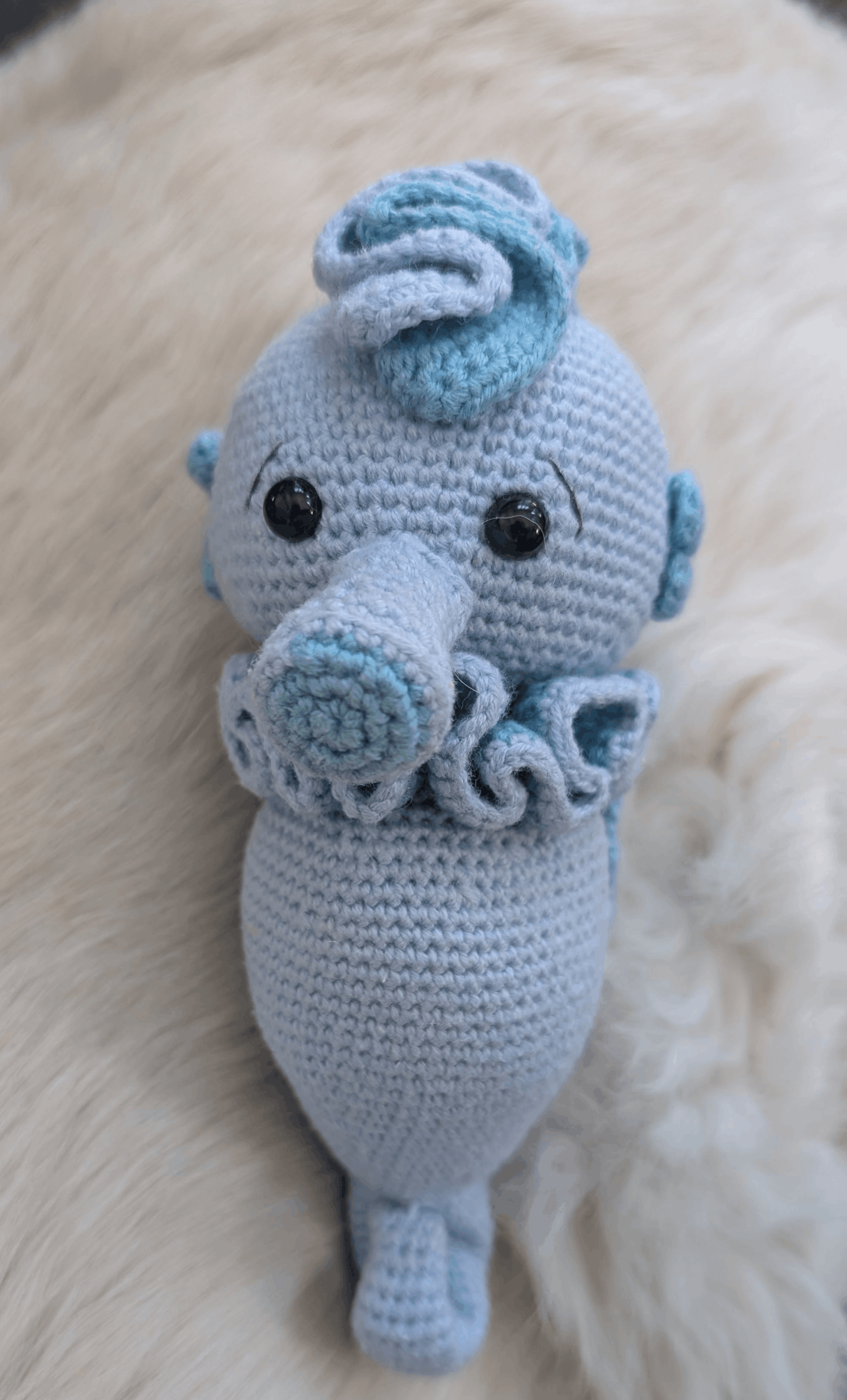 Hippocampe